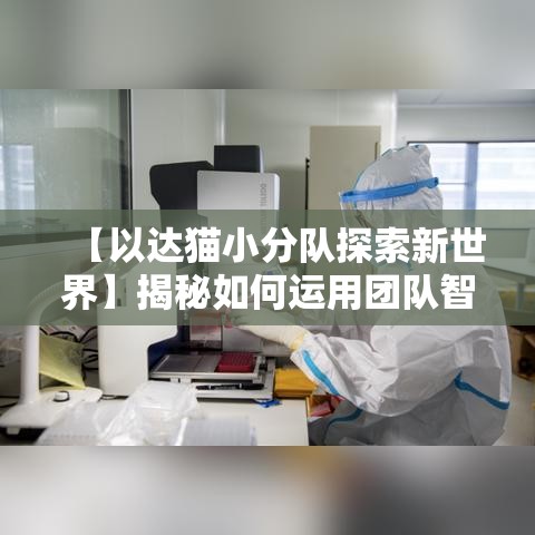 【以达猫小分队探索新世界】揭秘如何运用团队智慧解决生活难题，携手实现每日小目标！